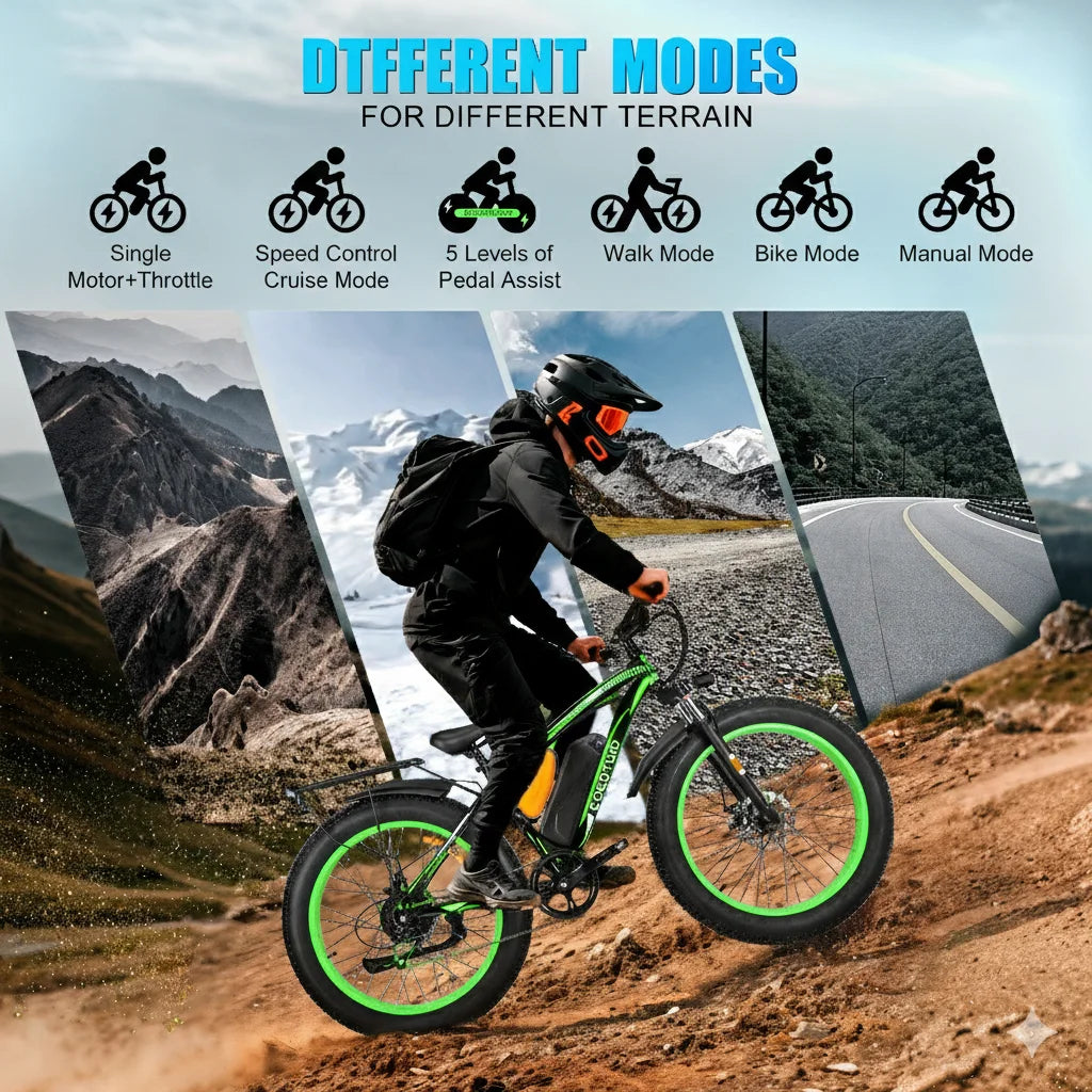 Fat Tire Electric Bike With 1000W Motor And 48V Battery