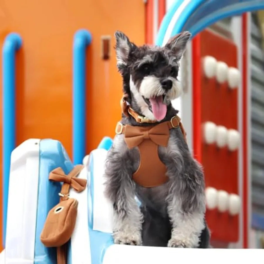Adjustable Step-In Dog Harness Collar and Leash Set for Walking