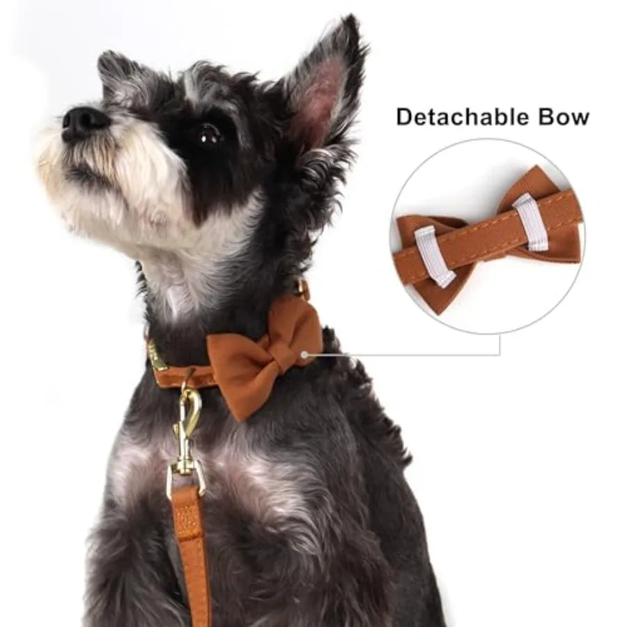 Adjustable Step-In Dog Harness Collar and Leash Set for Walking