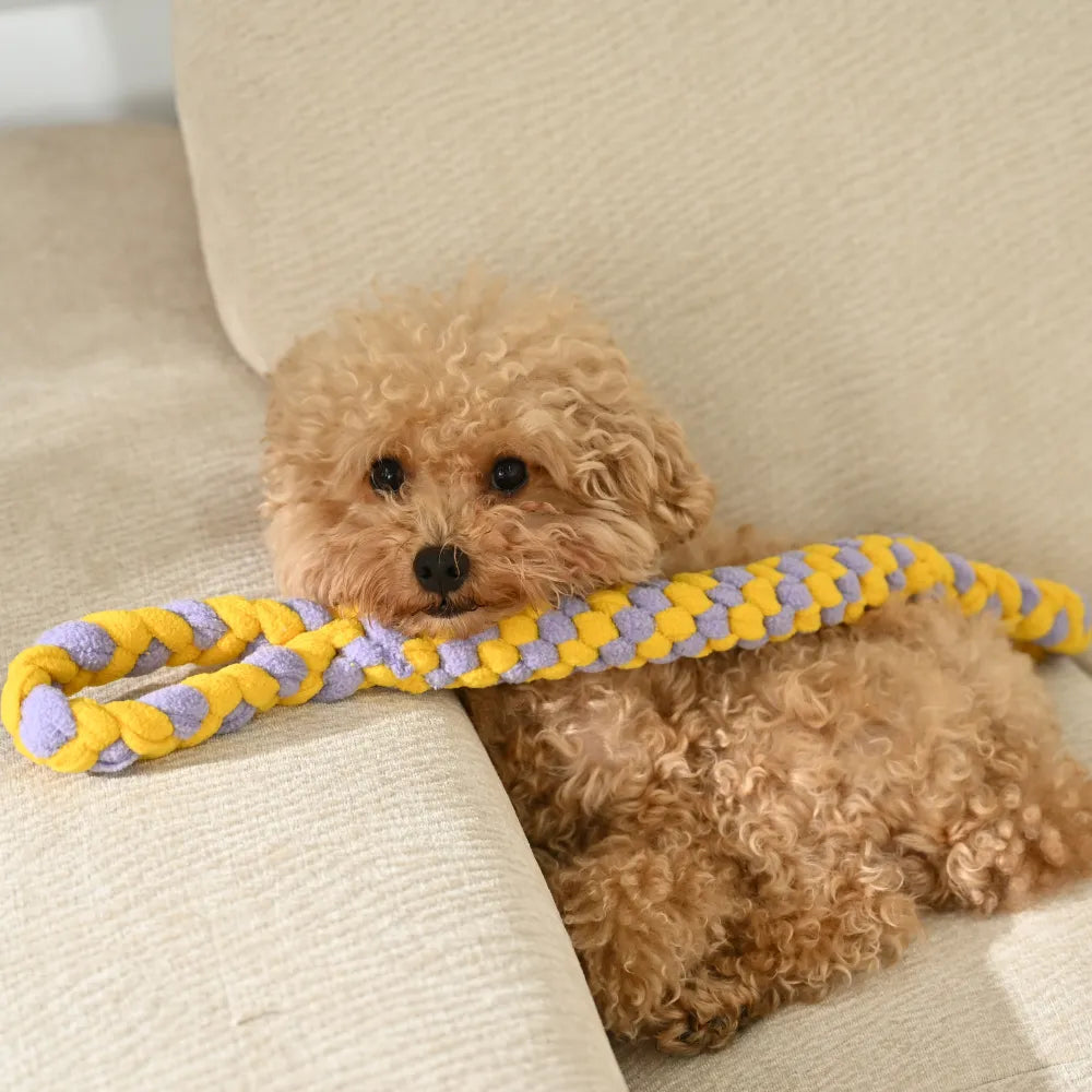 Interactive Dog Rope Tug Toy With Durable Dual Handles