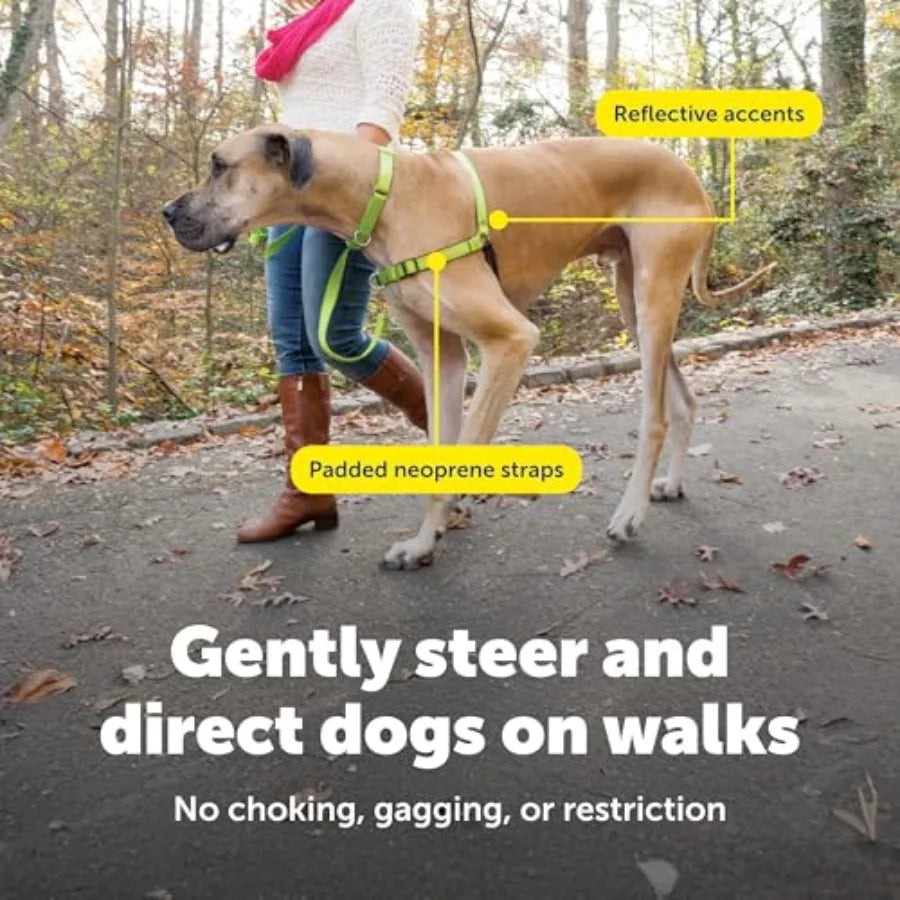 Easy Walk Deluxe No Pull Dog Harness for Leash Training and Comfort