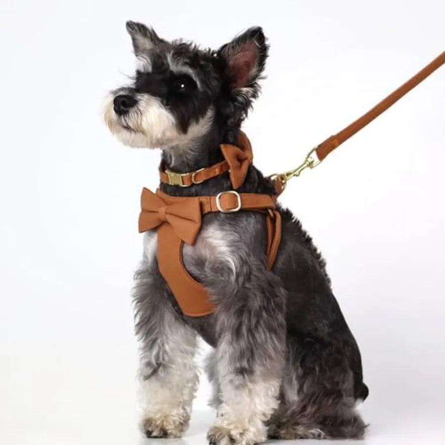 Adjustable Step-In Dog Harness Collar and Leash Set for Walking