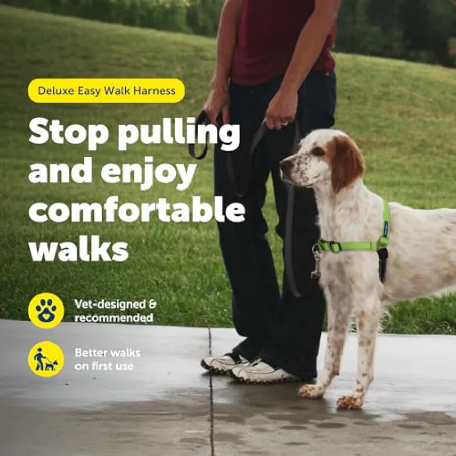 Easy Walk Deluxe No Pull Dog Harness for Leash Training and Comfort