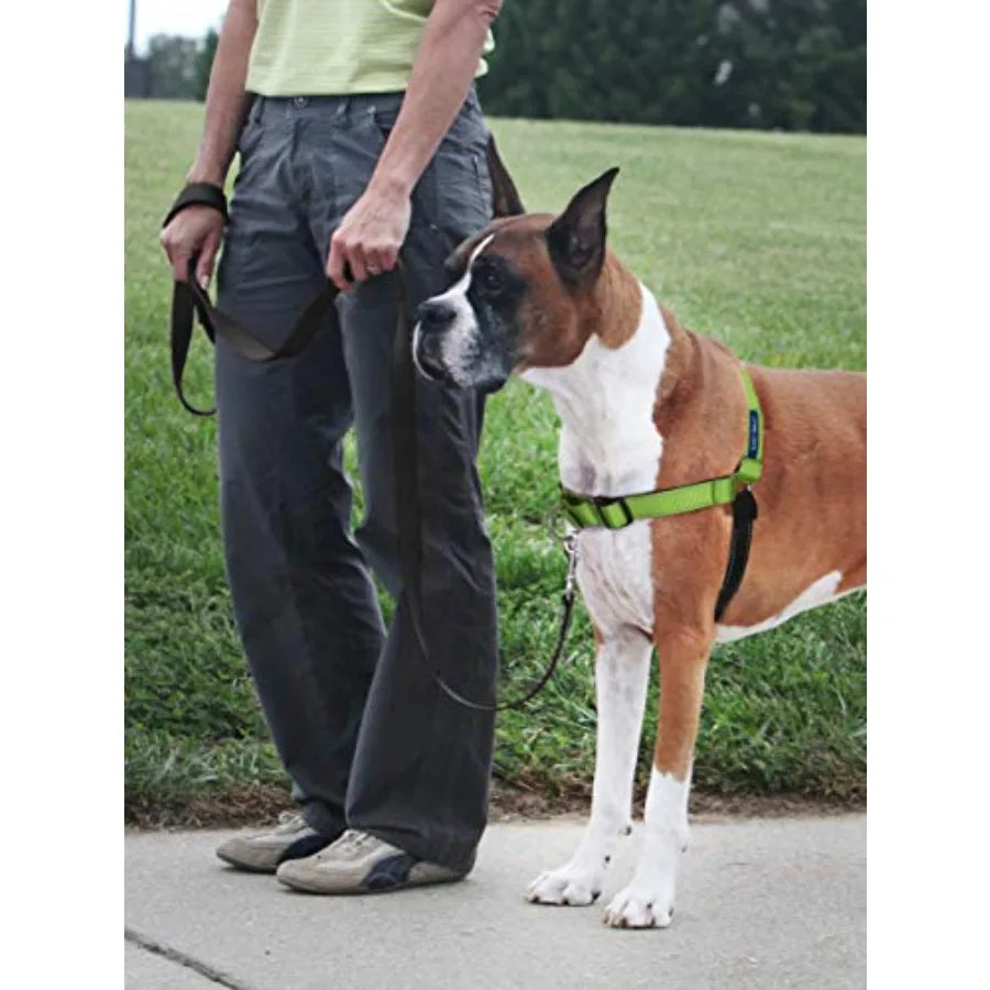 Easy Walk Deluxe No Pull Dog Harness for Leash Training and Comfort