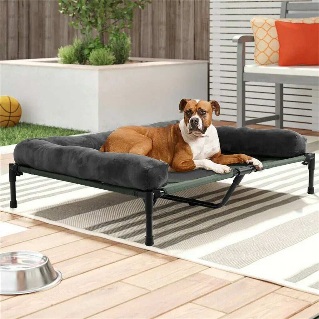 BINGOPAW Elevated Outdoor Indoor Pet Bed Lounger With Detachable Bolster