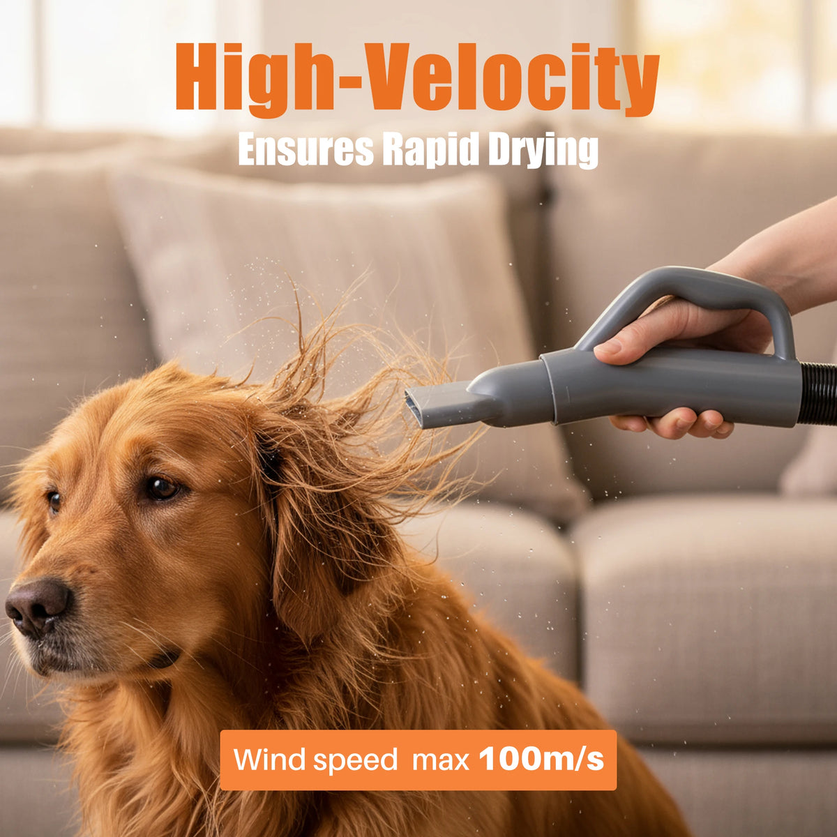 Pet Grooming Vacuum Kit With Blow Dryer And Adjustable Heat