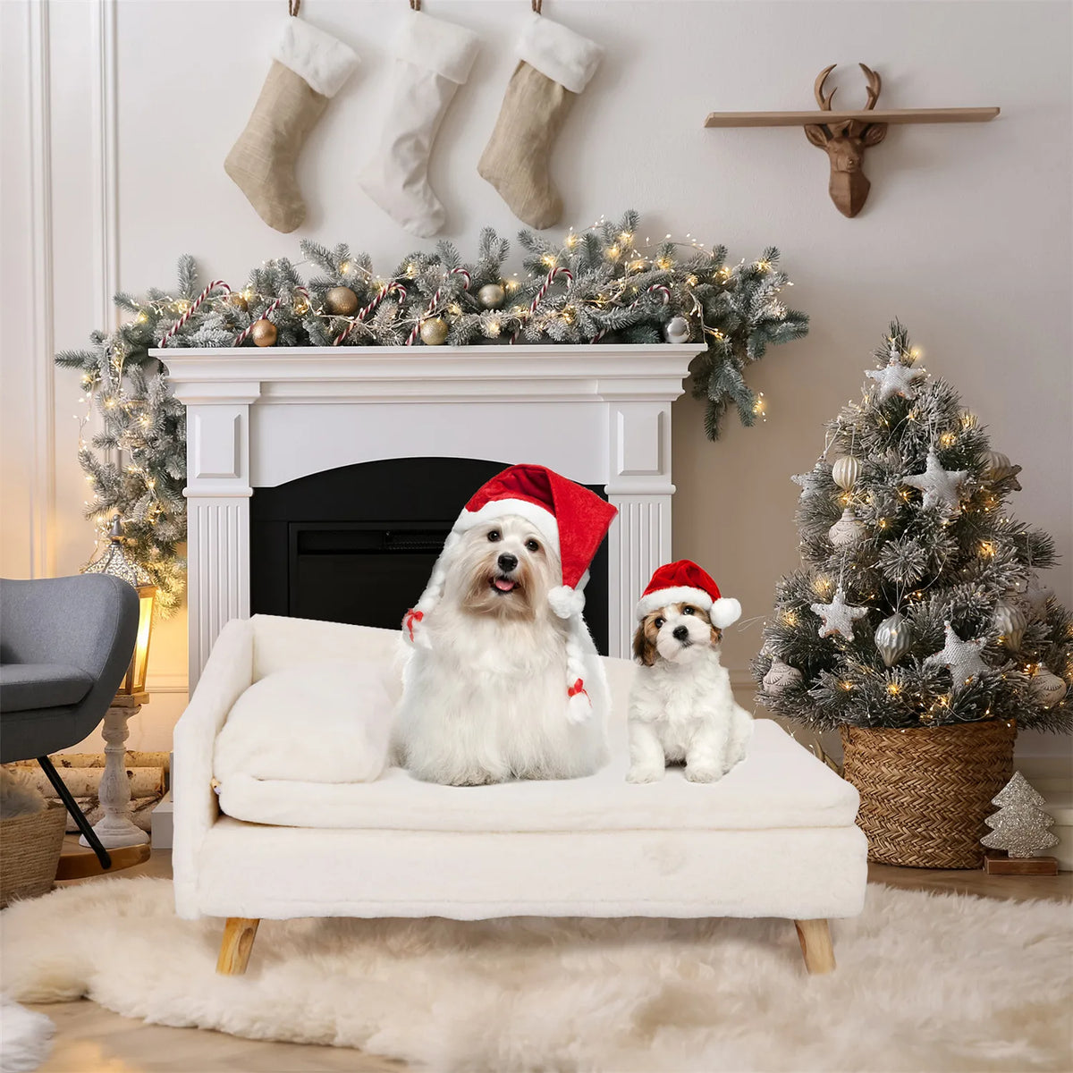BINGOPAW Nordic Elevated Pet Bed With Cozy Waterproof Cushion