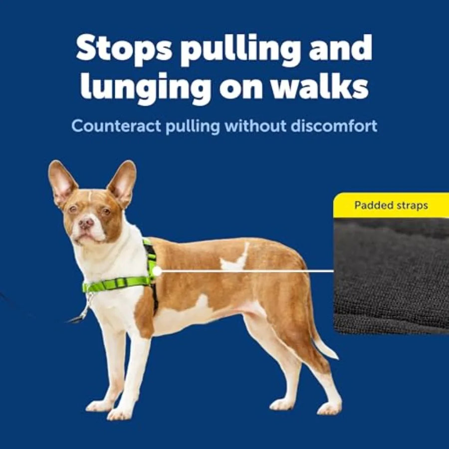 Easy Walk Deluxe No Pull Dog Harness for Leash Training and Comfort