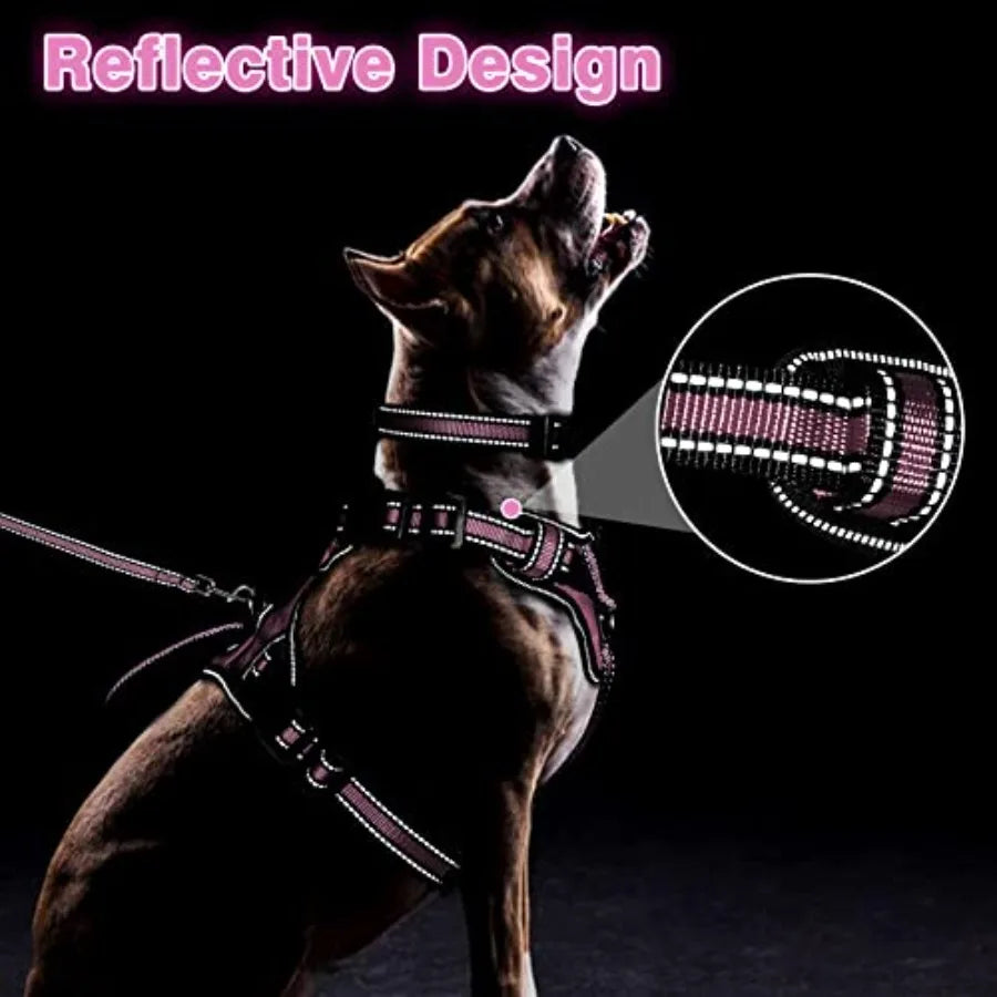 Reflective Nylon No Pull Dog Harness Collar And Leash Set