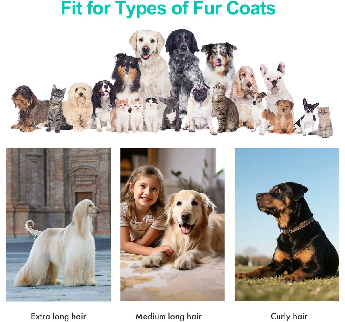 Pet Grooming Vacuum Kit With Powerful Hair Removal And Clipper