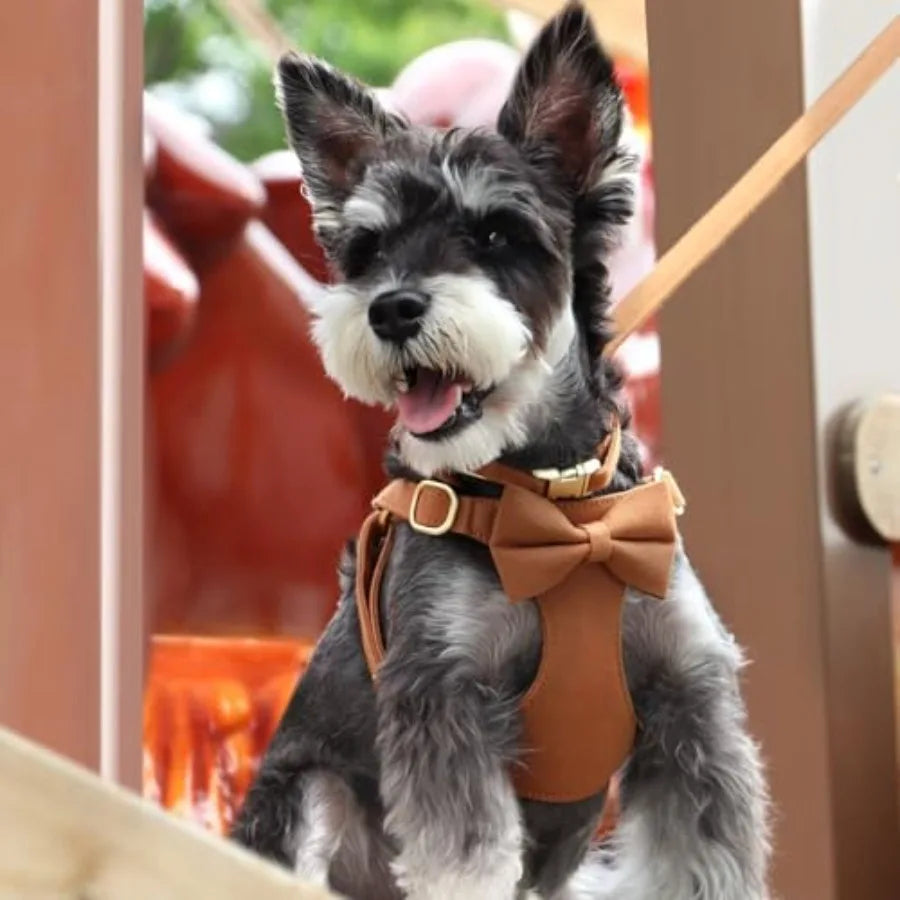 Adjustable Step-In Dog Harness Collar and Leash Set for Walking
