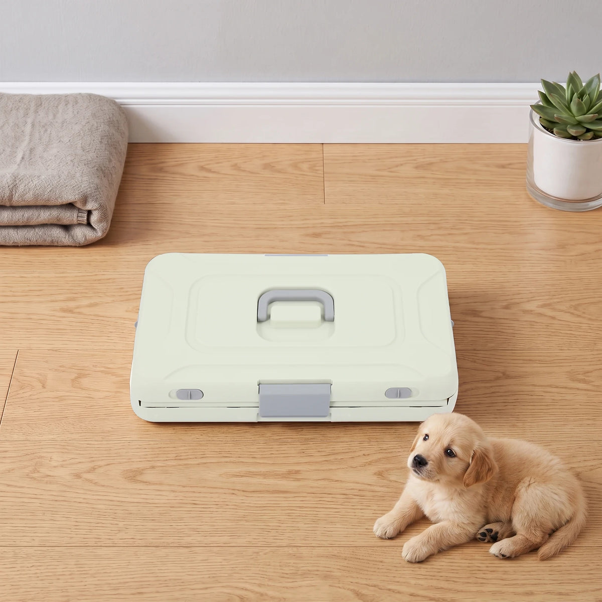 Foldable Pet Carrier Cage for Cats and Small Dogs